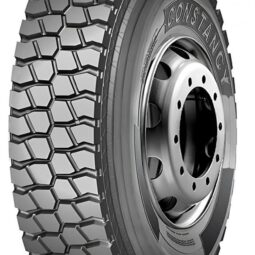 Constancy 868 10.00/ R20