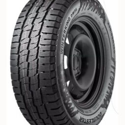 Легкова автошина Doublestar Winter KING DW06