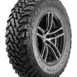 evolution mtt owl new