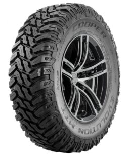 evolution mtt owl new