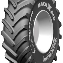 machxbib