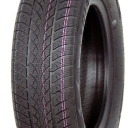 Легкова шина Triangle Winter X TW401