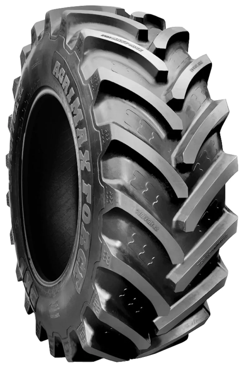 Шини BKT AGRIMAX FORCE R1W TL