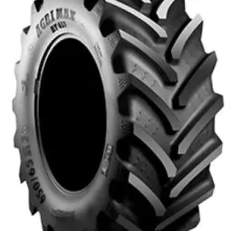 Шини BKT AGRIMAX RT 657 R1 TL