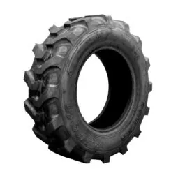 Шини Bostone R1