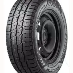 Легкова автошина Doublestar Winter KING DW06