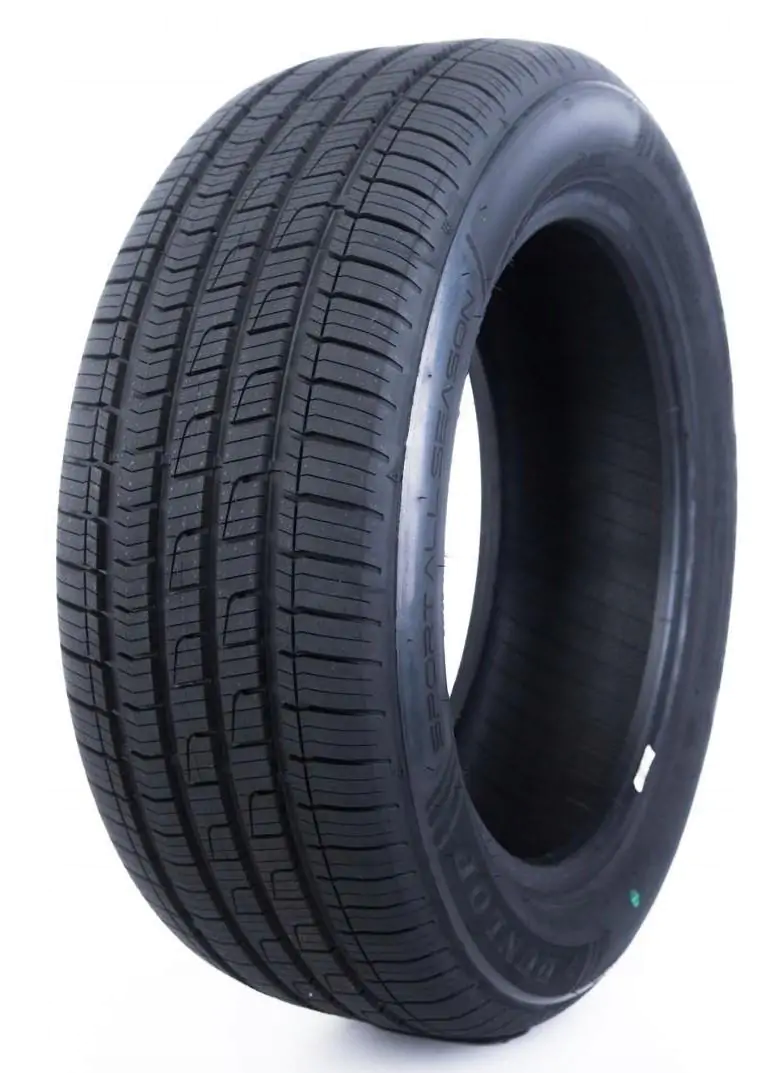 Легкова шина Dunlop Sport All Season