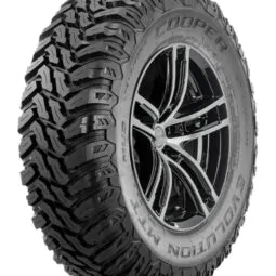 evolution mtt owl new