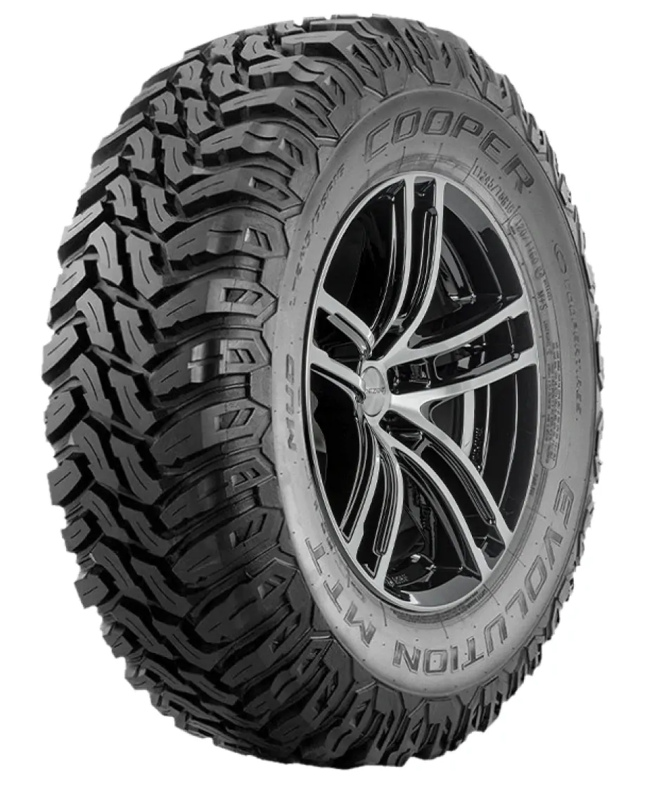 evolution mtt owl new