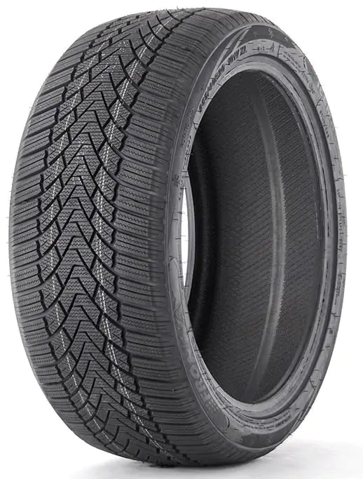 Зимові легкові шини Fronway IceMaster I