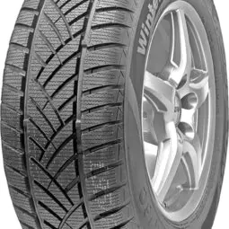 Зимові легкові шини Leao WINTER DEFENDER HP