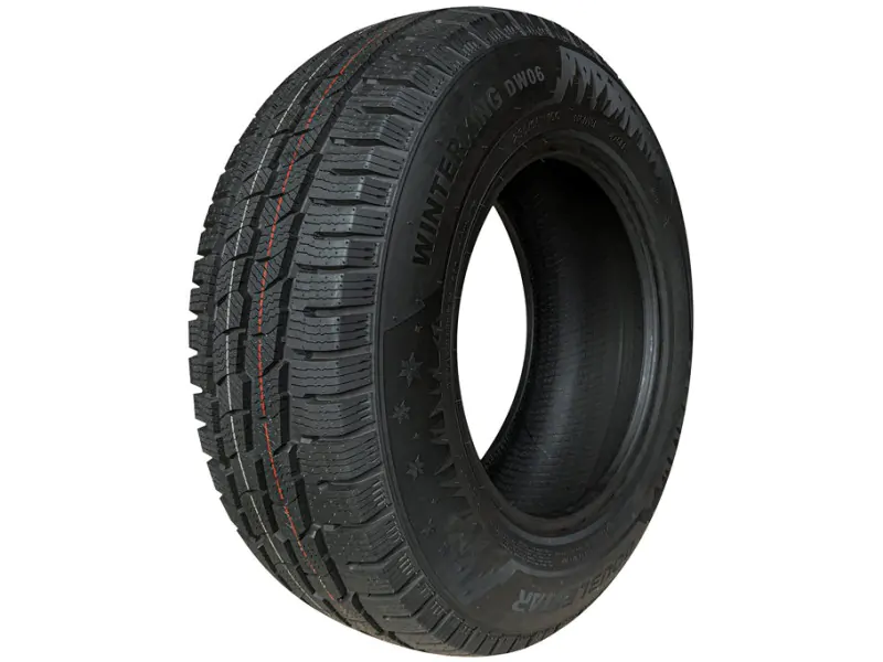 Зимові легковантажні шини Doublestar Winter KING DW06