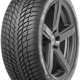 Зимові легкові шини Nokian WR Snowproof P